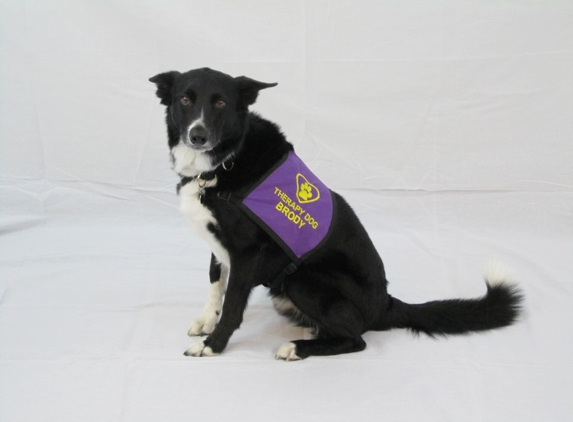 Trick Dog "U" K9 Training Academy - Hudson, FL