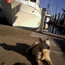 Oak Harbor Marina