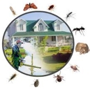 Ever-Redi Exterminating - Pest Control Services