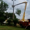Afford Tree Service gallery