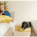 WT Online Pet Supplies - Pet Specialty Services