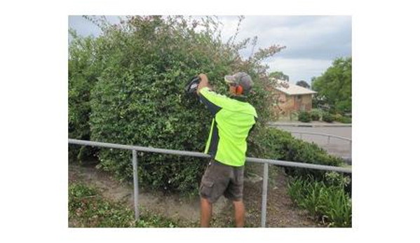 Jindalee Property Service - Edgeworth, NSW