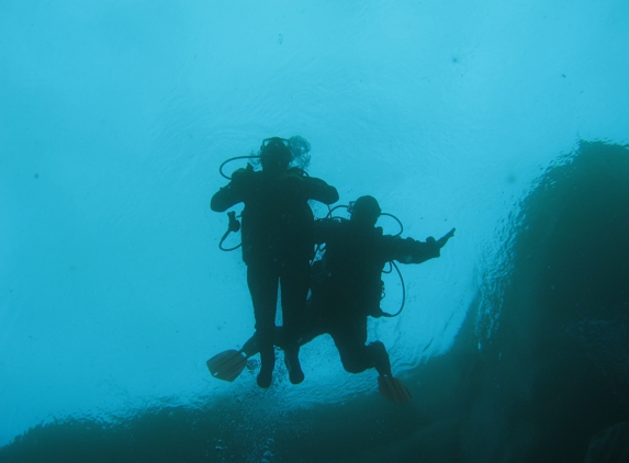 Shark Bite Scuba Instruction - Albuquerque, NM