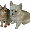 Cutiepie Pet Supply gallery