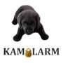 Kamolarm LLC
