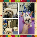 Reliable Grooming Inc - Pet Grooming