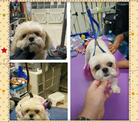 Reliable Grooming Inc - Howard Beach, NY