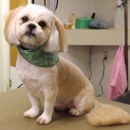 King Road Boarding & Grooming LLC - Pet Services