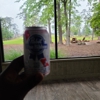 Bluejack National gallery