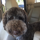 VCA Lakeside Animal Hospital - Veterinarians