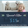 Carpet Cleaning Kemah gallery