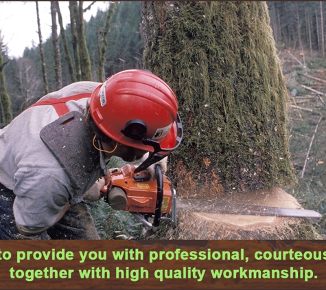 M & J Tree Surgeons. We aim to provide you with professional, courteous service together with high quality workmanship.