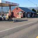 Pine Grove Store - Gas Stations