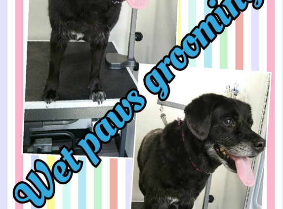 Wet Paws Grooming - Beverly Hills, CA