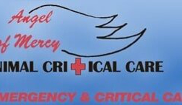 Angel  Of Mercy Animal Critical Care - San Antonio, TX