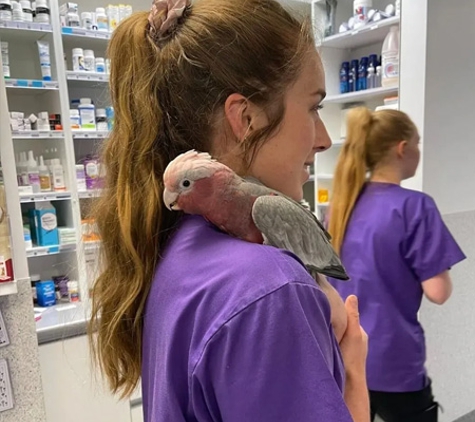 PetFocus Vetcare - Lavington, NSW