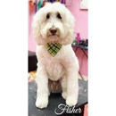 Woof Gang Bakery & Grooming - Pet Grooming