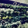 Photo #01
