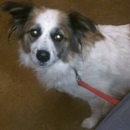 CrossRoads Veterinary Hospital - Veterinarians