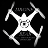 DRONE Bear Photography gallery