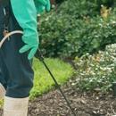 Gateway Pest Control - Bee Control & Removal Service