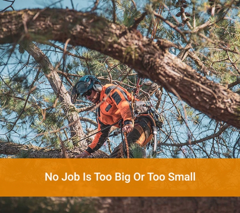 Oliver Shoemark Tree Service Pty Ltd - West Bathurst, NSW. No Job Is Too Big Or Too Small