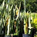 Golden Sun - Landscape Contractors
