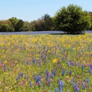 Allied Hydromulch - Erosion Control