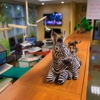 Tina S. Merhoff & Associates Pediatric Dentistry gallery