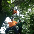 C.R Tree Service