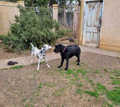 Kellmann Kennels - Templers, SA
