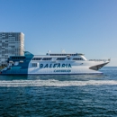 Balearia Caribbean - Ferries