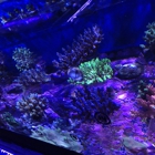 Poseidon Aquarium