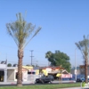 Michoacan Tire Shop gallery