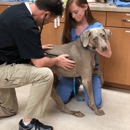 Biscayne Animal Hospital - Pet Services