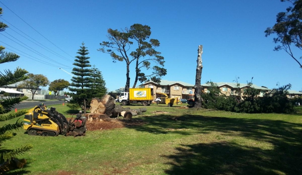 Treebiz Tree Services - Harlaxton, QLD