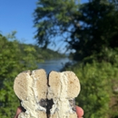 Joey's Bagels - Asheville - Bagels