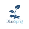 BlueSprig gallery