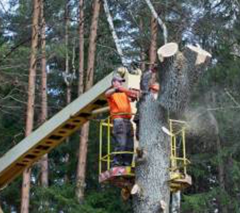 A&M Tree Services LLC - Saint Charles, MO