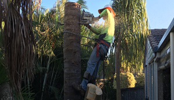 Active Tree Fellas - Urangan, QLD