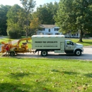 Premier Tree Specialists - Tree Service