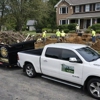Veteran's Junk Removal gallery