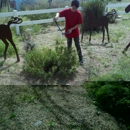Trot - Employment Training