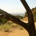 Runyon Canyon Properties