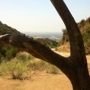 Runyon Canyon Properties