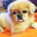 Harris Animal Hospital - Veterinarians