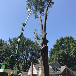 Kansas City Tree Care, LLC - Kansas City, KS