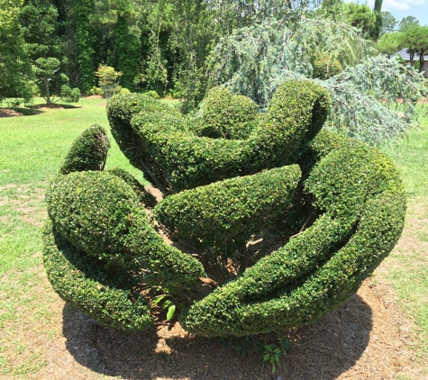 Pearl Fryar's Topiary Garden - Bishopville, SC