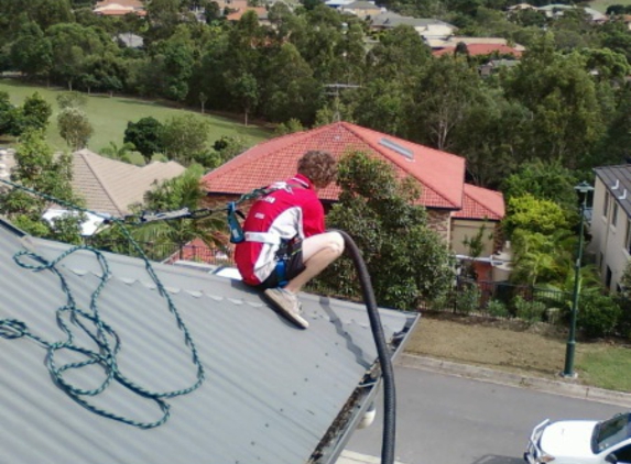 Peter The Possum & Birdman Pty Ltd - Newmarket, QLD