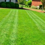 GrassRoots Lawn Specialists